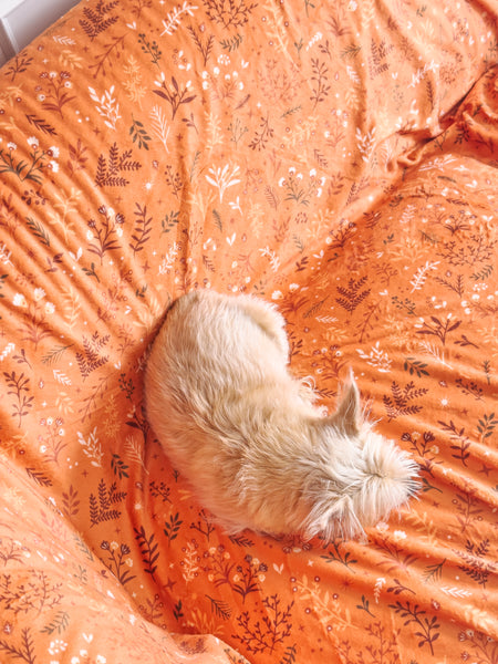 Blanket: Chiswick Ginger