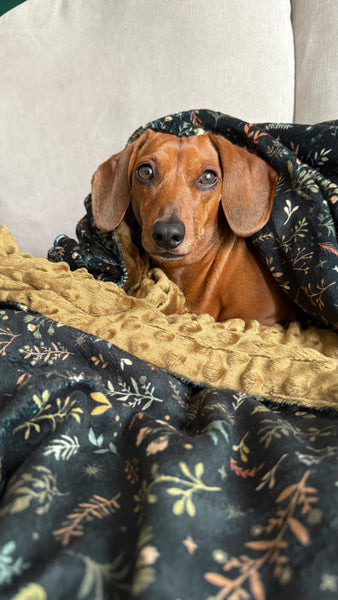 Blanket: Chiswick Ravenwood