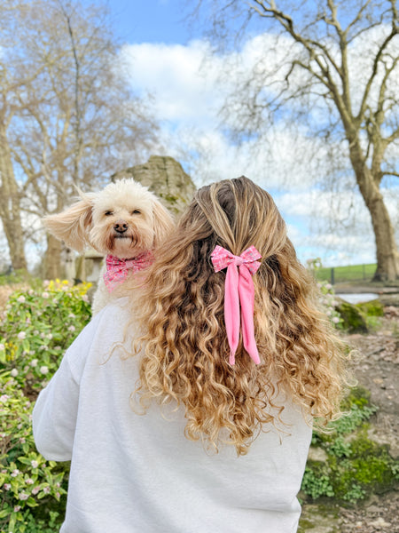 Bow Hair Clip: Belgravia Bonbon