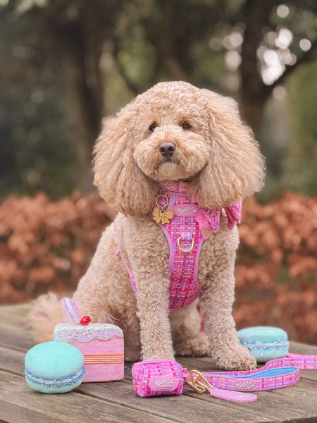 Dog Poop Bag Holder: Belgravia Bonbon