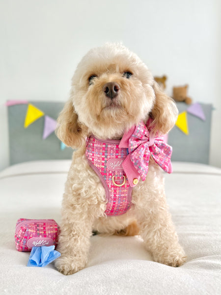 Adjustable Dog Harness: Belgravia Bonbon