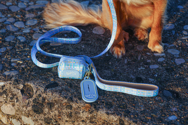 Dog Poop Bag Caddy: Belgravia Macaron