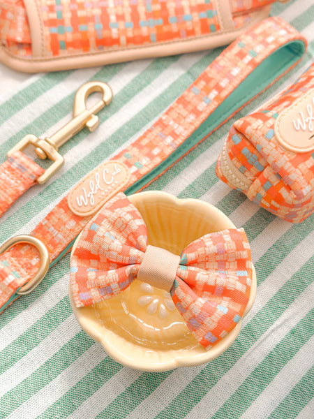 Dog Dickie Bow: Belgravia Sorbet