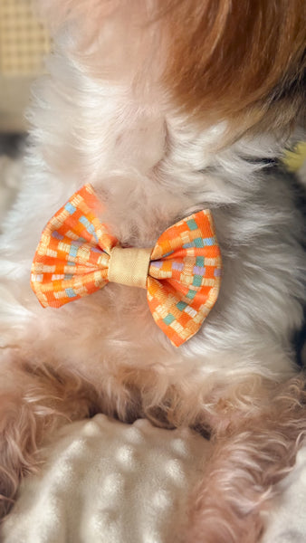 Dog Dickie Bow: Belgravia Sorbet