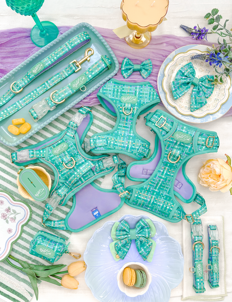 Adjustable Dog Collar: Belgravia Sweetpea