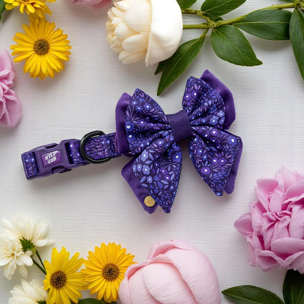 Dog Butterfly Bow Tie: Notting Hill Blackberry
