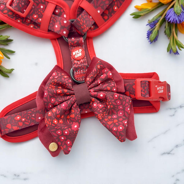 Dog Butterfly Bow Tie: Notting Hill Mulberry