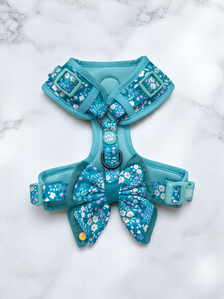 Dog Butterfly Bow Tie: Notting Hill Mint