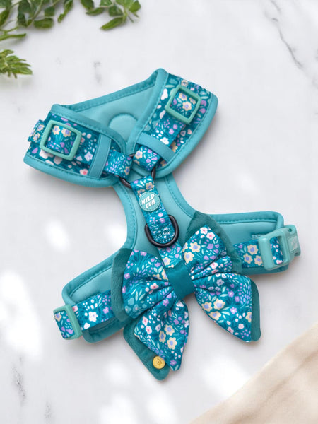 Dog Butterfly Bow Tie: Notting Hill Mint