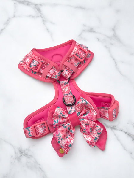 Dog Butterfly Bow Tie: Notting Hill Rosé