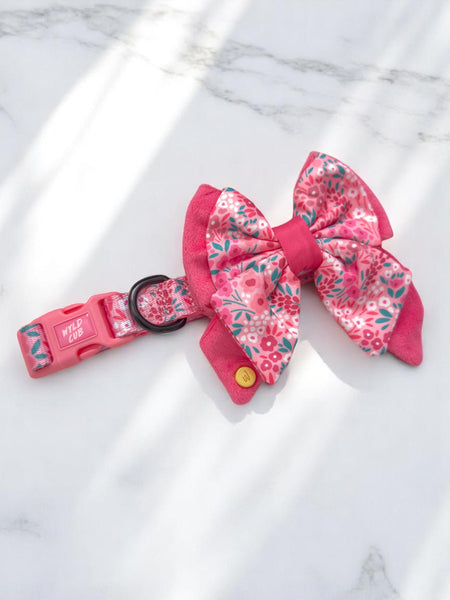 Dog Butterfly Bow Tie: Notting Hill Rosé