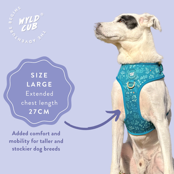 Adjustable Dog Harness: Chiswick Alpine