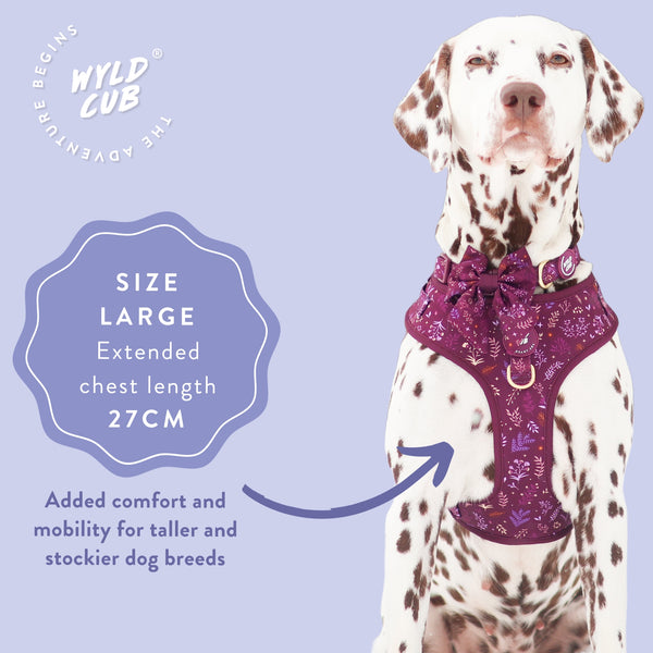 Adjustable Dog Harness: Chiswick Fig