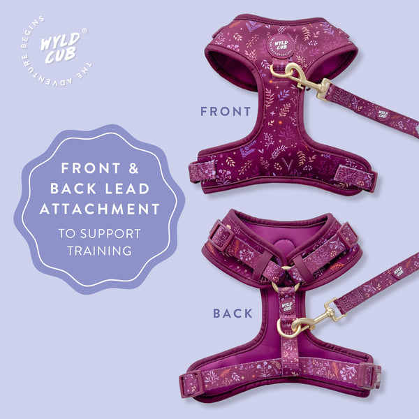 Adjustable Dog Harness: Chiswick Fig