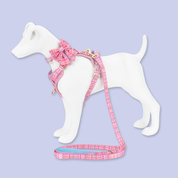 Dog Sailor Bow: Belgravia Bonbon