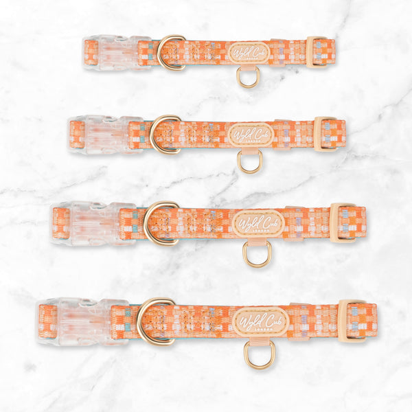 Adjustable Dog Collar: Belgravia Sorbet