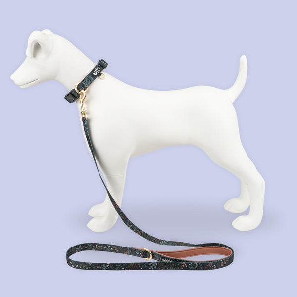 Dog Lead: Chiswick Ravenwood