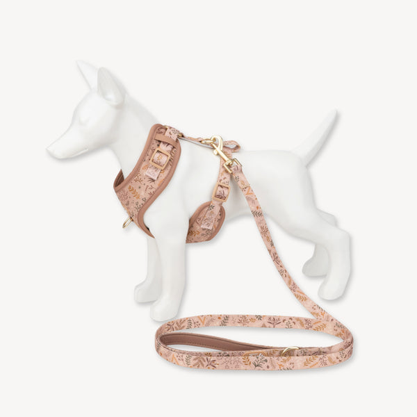 Adjustable Dog Harness: Chiswick Nutmeg