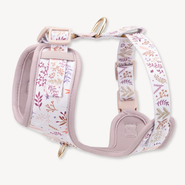 Adjustable Dog Harness: Chiswick Oyster NEW