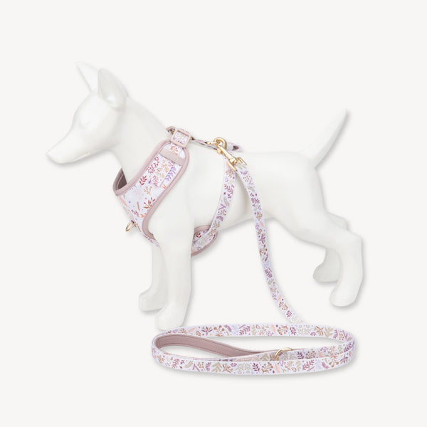 Adjustable Dog Harness: Chiswick Oyster NEW