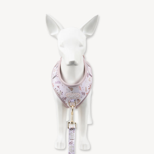 Adjustable Dog Harness: Chiswick Oyster NEW