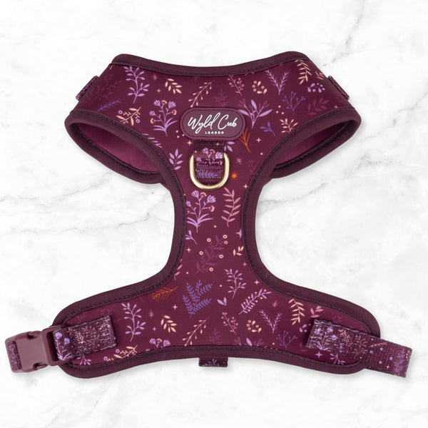 Adjustable Dog Harness: Chiswick Fig NEW