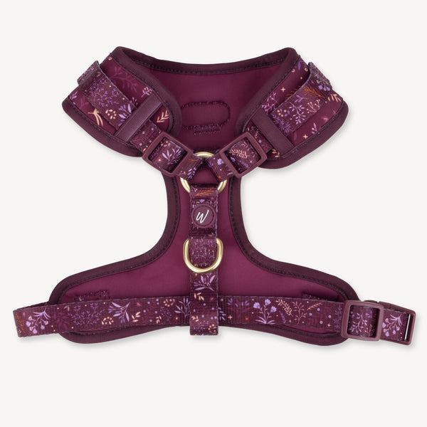 Adjustable Dog Harness: Chiswick Fig NEW