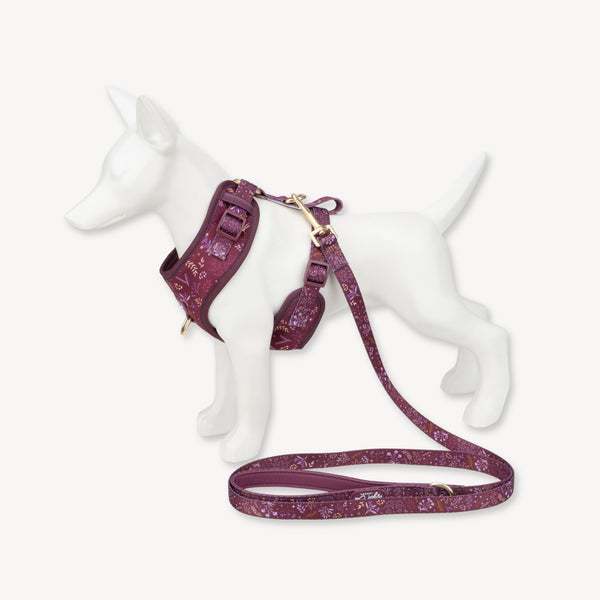 Adjustable Dog Harness: Chiswick Fig NEW