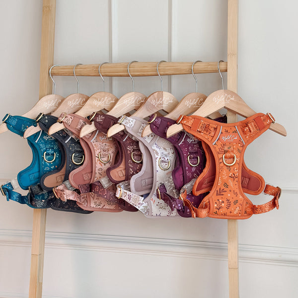 Branded Wooden Dog Harness Hanger