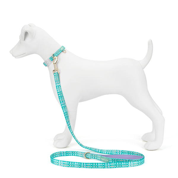 Adjustable Dog Collar: Belgravia Sweetpea