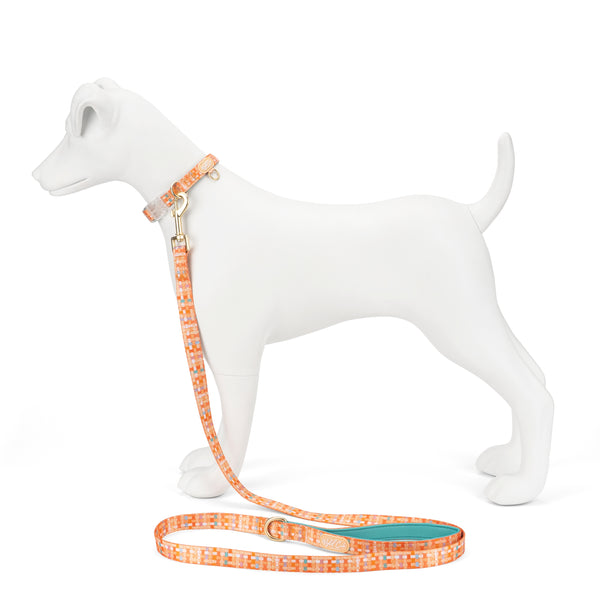 Adjustable Dog Collar: Belgravia Sorbet