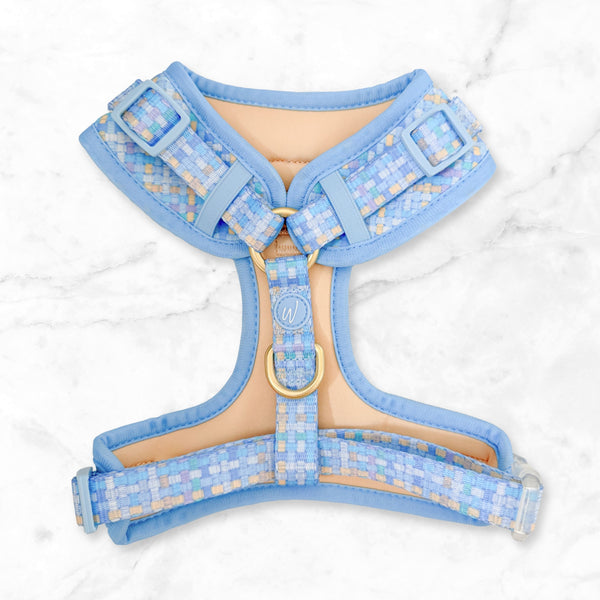 Adjustable Dog Harness: Belgravia Macaron