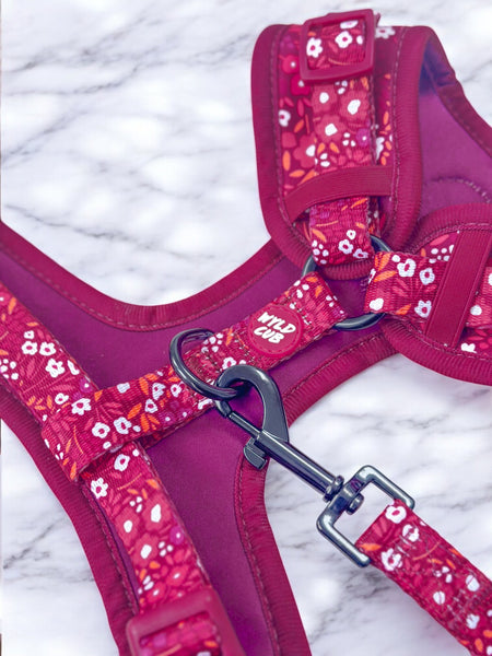 Dog Lead: Notting Hill Raspberry