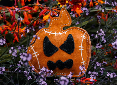Jack the Pumpkin shaped Eco Dog Toy