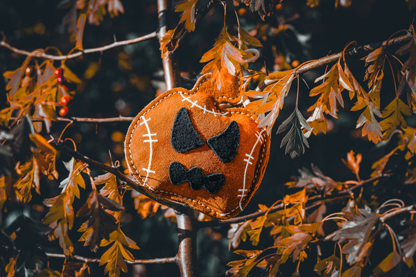 Jack the Pumpkin shaped Eco Dog Toy