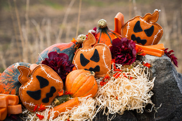 Jack the Pumpkin shaped Eco Dog Toy