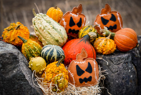 Jack the Pumpkin shaped Eco Dog Toy