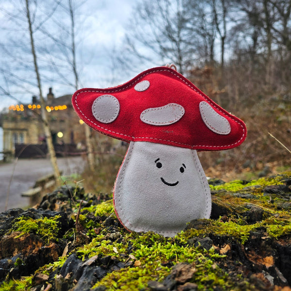 Marie the Mushroom shaped Eco Dog Toy