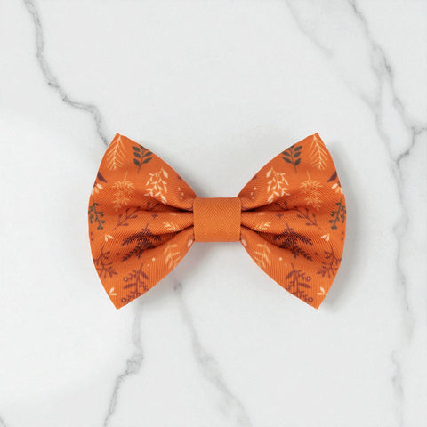 Dog Bow Tie: Chiswick Ginger