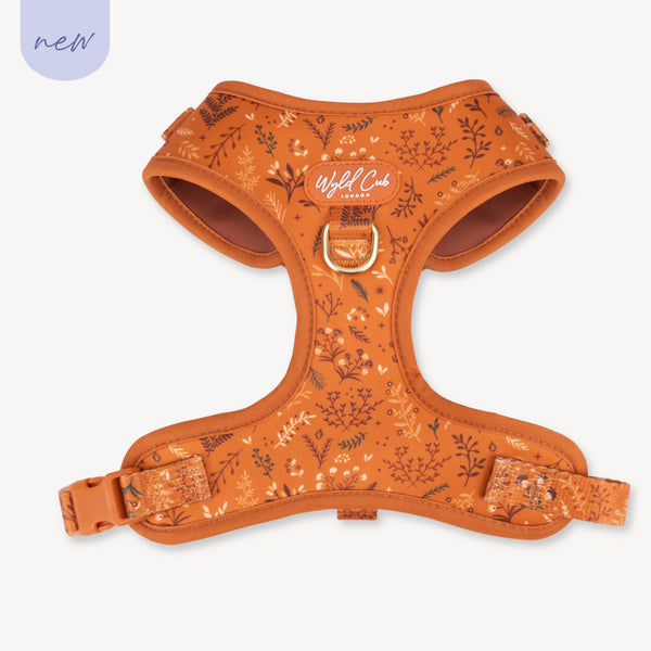 Adjustable Dog Harness: Chiswick Ginger