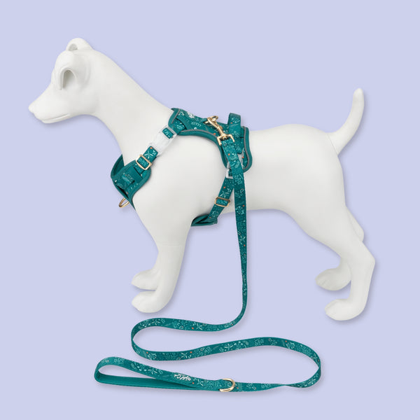 Step & Switch® Dog Harness: Chiswick Alpine
