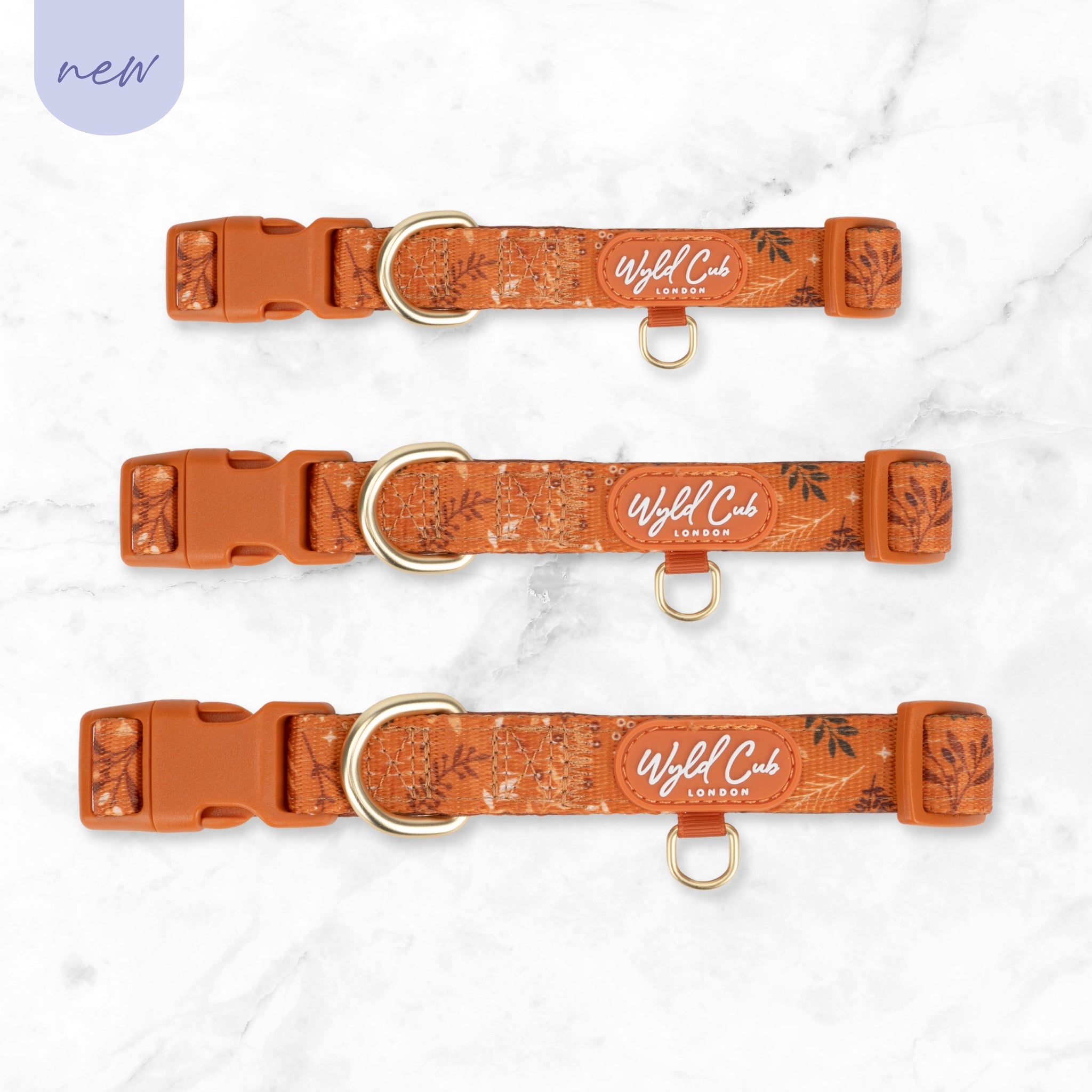 Adjustable Dog Collar: Chiswick Ginger