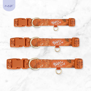 Adjustable Dog Collar: Chiswick Ginger