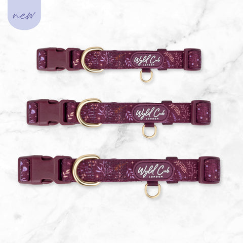 Adjustable Dog Collar: Chiswick Fig NEW