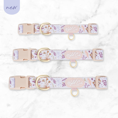 Adjustable Dog Collar: Chiswick Oyster NEW