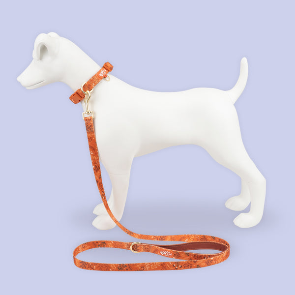 Dog Lead: Chiswick Ginger