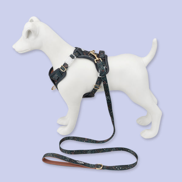 Step & Switch® Dog Harness: Chiswick Ravenwood