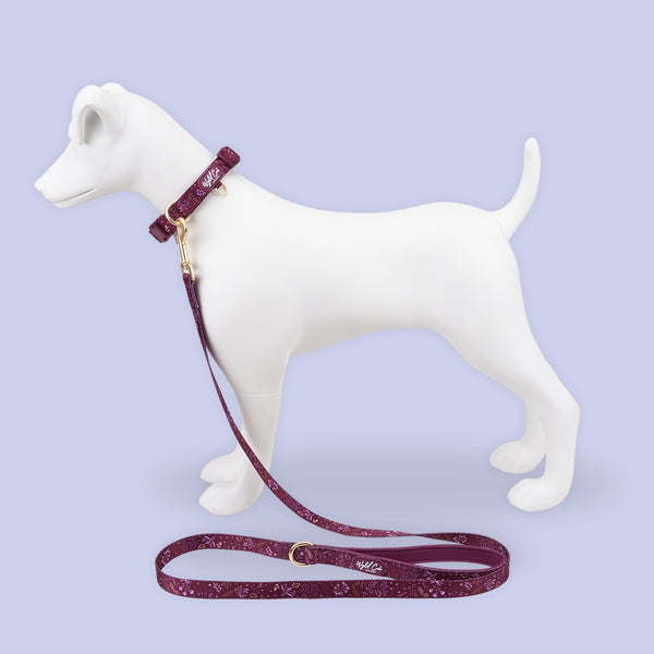 Dog Lead: Chiswick Fig NEW