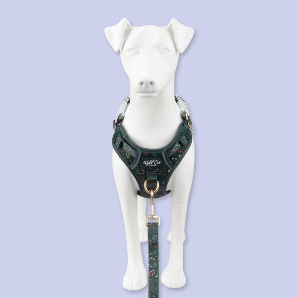 Step & Switch® Dog Harness: Chiswick Ravenwood