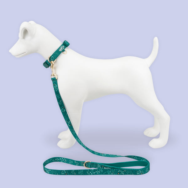 Adjustable Dog Collar: Chiswick Alpine NEW